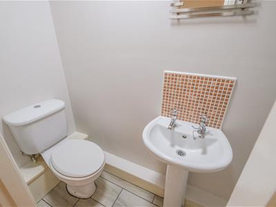 Picture 17